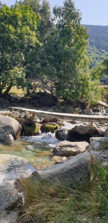 Affittacamere Roulotte En Bois Sud France Le Soler Esterno foto