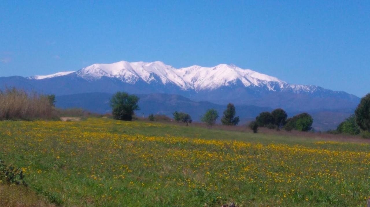 Affittacamere Roulotte En Bois Sud France Le Soler Esterno foto