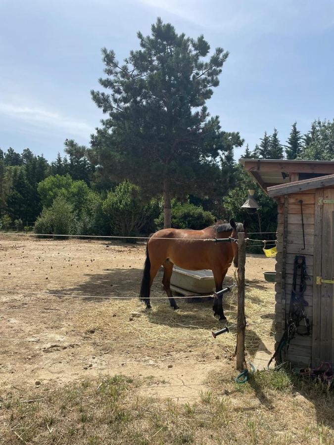 Affittacamere Roulotte En Bois Sud France Le Soler Esterno foto