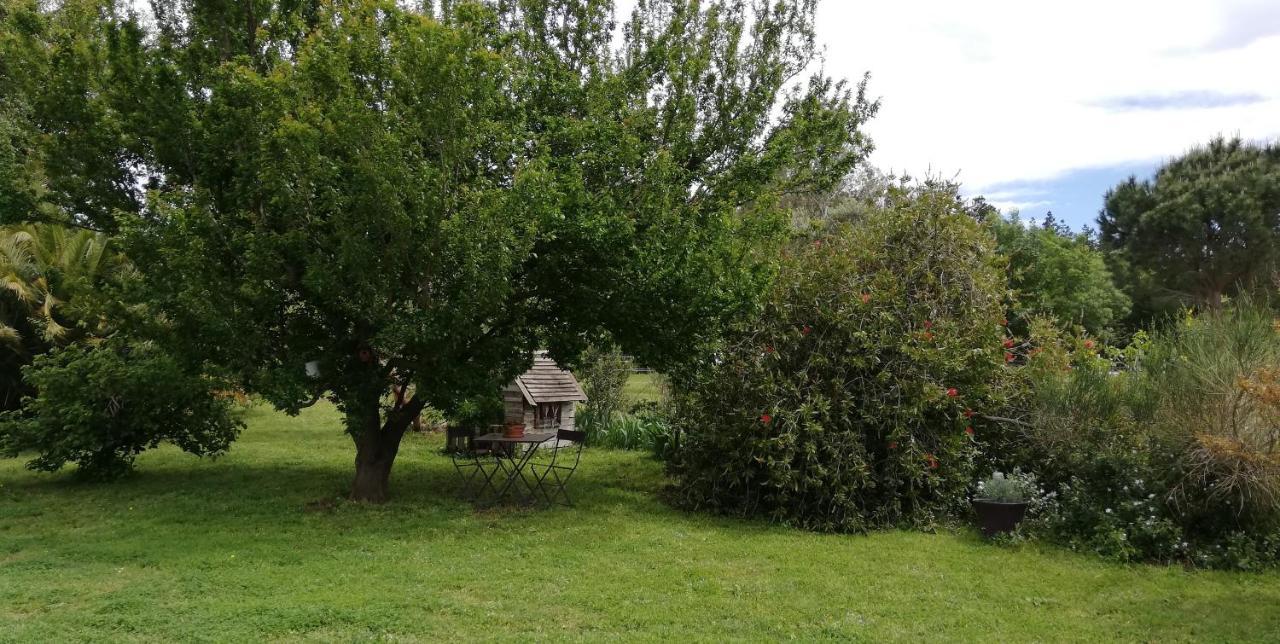 Affittacamere Roulotte En Bois Sud France Le Soler Esterno foto
