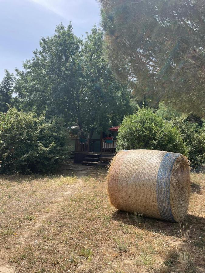 Affittacamere Roulotte En Bois Sud France Le Soler Esterno foto