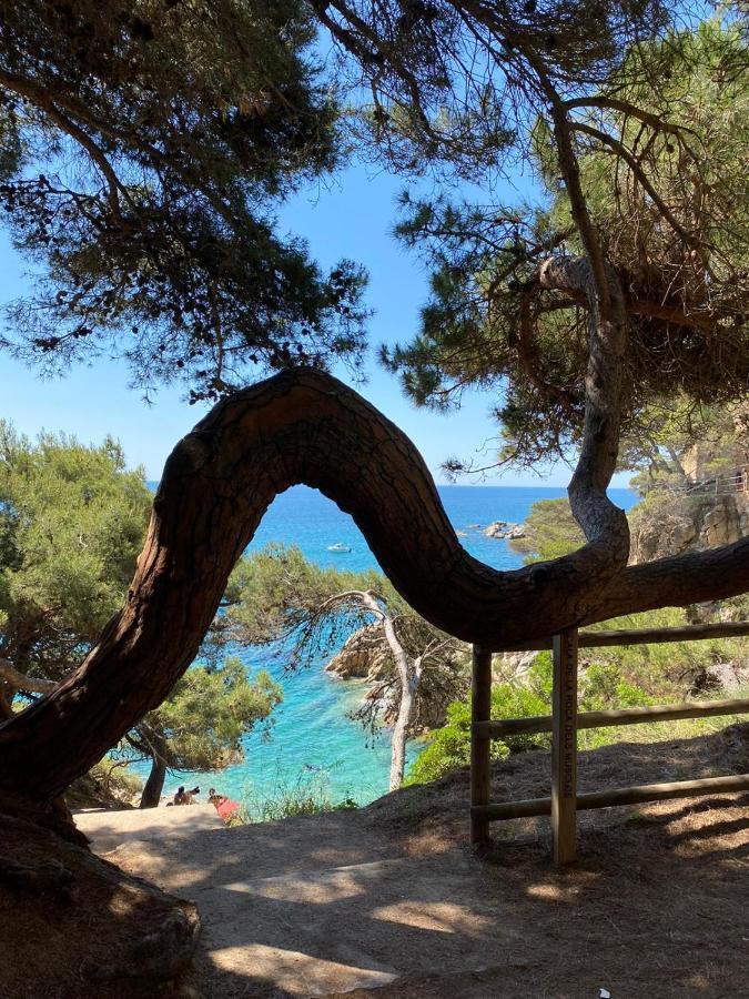 Affittacamere Roulotte En Bois Sud France Le Soler Esterno foto