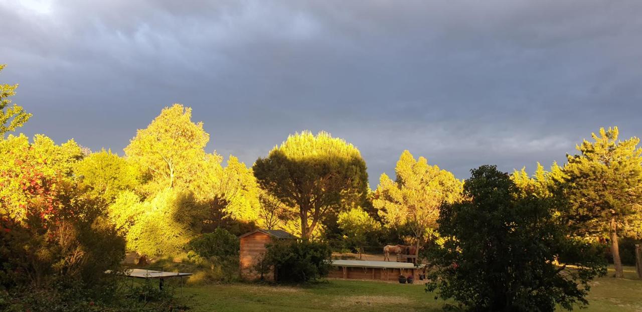 Affittacamere Roulotte En Bois Sud France Le Soler Esterno foto